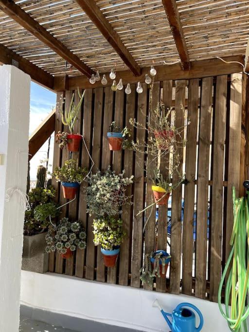 Willa La Casa Del San Anton Níjar Zewnętrze zdjęcie